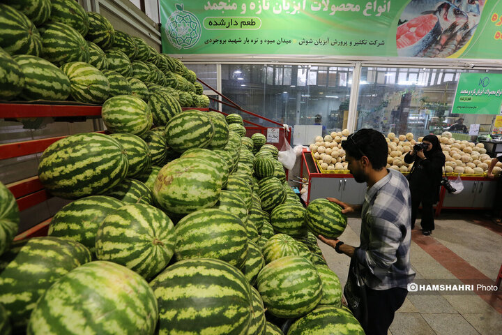 تور بازدید سرزده از بازارهای تره بار به همراه مدیر عامل سازمان میوه و تره بار