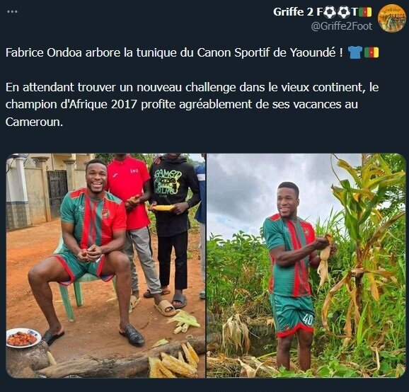 عشق و حال تابستانی دروازهبان مدنظر استقلال | «فابریس اوندوآ» در یک مزرعه ذرت دیده شد