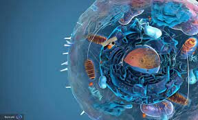 درک بیماری‌هایی مانند آلزایمر