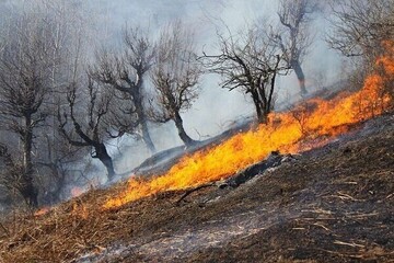 حریق گسترده در منطقه گیسکان دشتستان