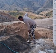 این راننده کامیون سقای‌ پرندگان تشنه دشتستان است | ماجرای کنار گذاشتن شکار توسط ۱۵۰ شکارچی  + فیلم