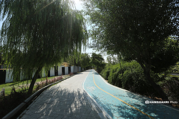 مسیر زندگی؛ مسیر گردشگری و تندرستی در تابستان