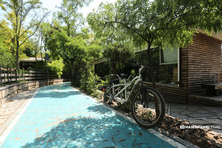 مسیر زندگی؛ مسیر گردشگری و تندرستی در تابستان