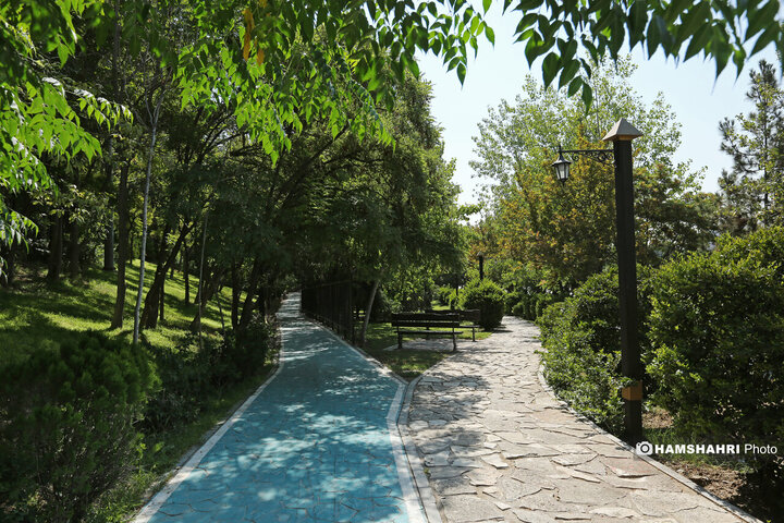 مسیر زندگی؛ مسیر گردشگری و تندرستی در تابستان