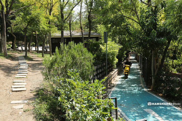 مسیر زندگی؛ مسیر گردشگری و تندرستی در تابستان