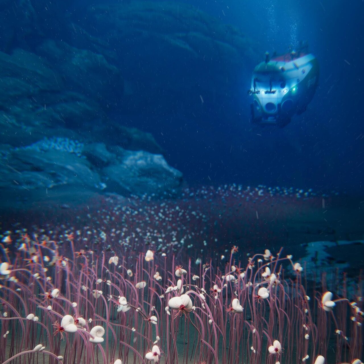 کشف اجتماع موجودات ناشناخته در اعماق اقیانوس! | عکس