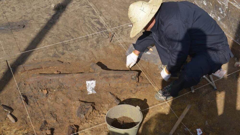 سازهای ۴۷۶ هزارساله زیر خاک زامبیا | رازهای شگفتانگیز در دل خاک آفریقا