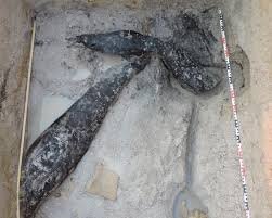 سازهای ۴۷۶ هزارساله زیر خاک زامبیا | رازهای شگفتانگیز در دل خاک آفریقا