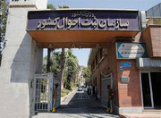 حذف مدارک شناسایی کاغذی تا پایان امسال | شناسنامه دیجیتال جعل‌ناپذیر است | صدور گواهی انحصار وراثت بدون درخواست وراث