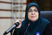 مهاجرانی: هیئت دولت، با تعطیلی چهارشنبه‌ها مخالف بود