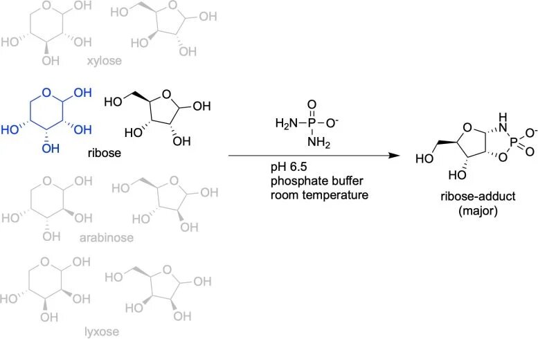 زندگی روی زمین چگونه آغاز شد | یک کشف تاریخی و مهم با منشأ RNA
