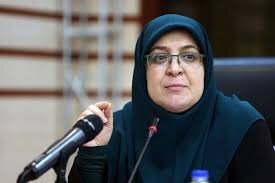 مهاجرانی: هیئت دولت، با تعطیلی چهارشنبه‌ها مخالف بود