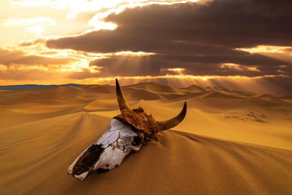 داغترین زمینهای جهان