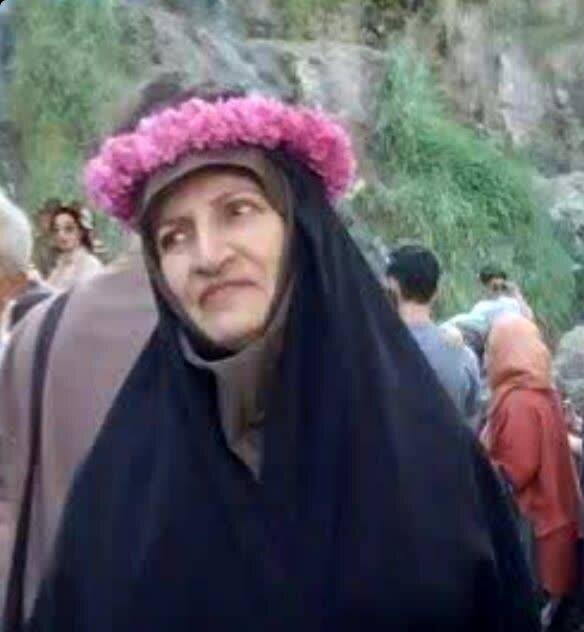 معلمی که گره از کار مردم میگشود | زائر اربعین در تجریش آسمانی شد