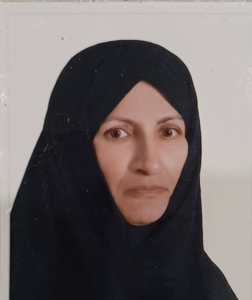 معلمی که گره از کار مردم میگشود | زائر اربعین در تجریش آسمانی شد