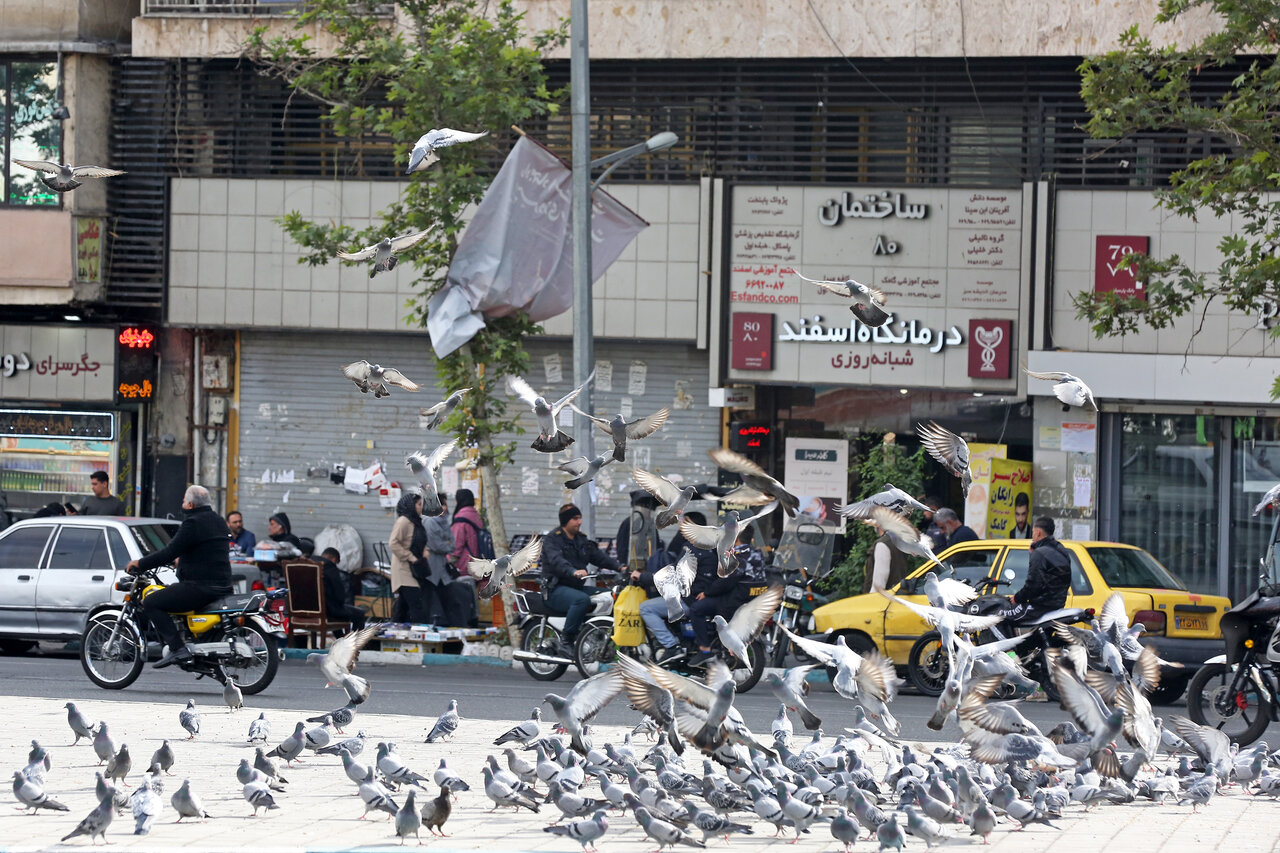 پرنده