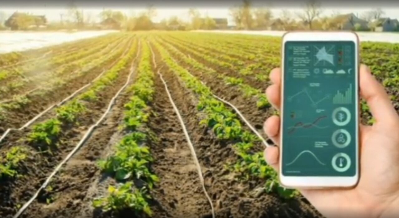 عبور از بحران آب با الگوی کشاورز ایلامی | کشاورز ایلامی برنده جایزه جهانی بهره وری آب در کشاورزی شد