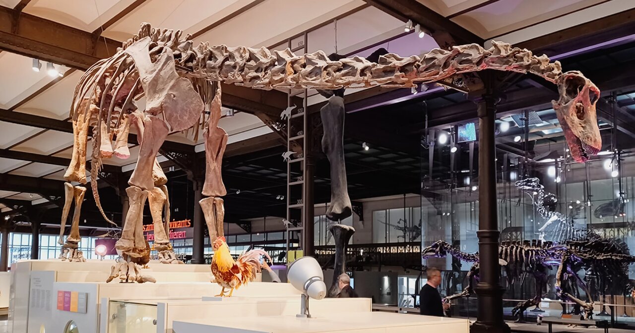 هوا از زمان دایناسورها آلوده بوده است