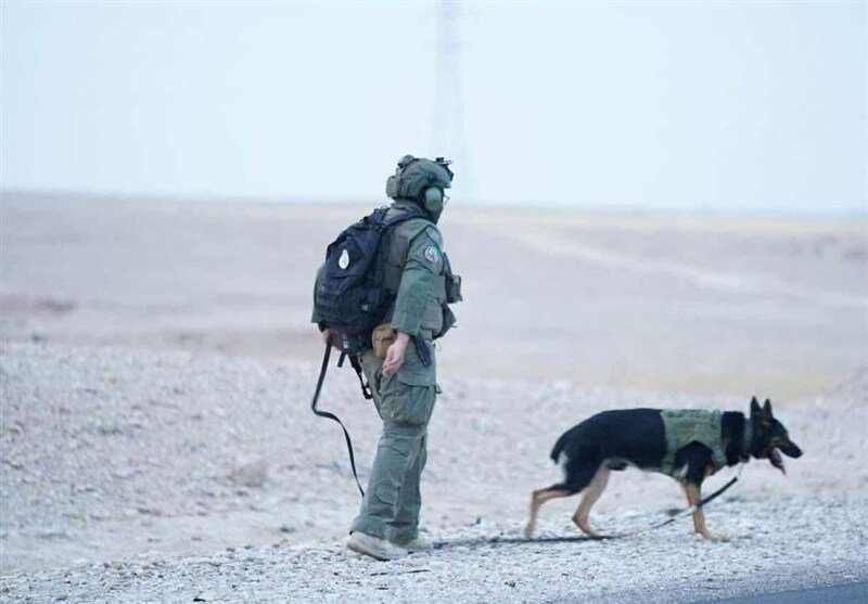 الحشدالشعبی آماده باش شد+ تصاویر