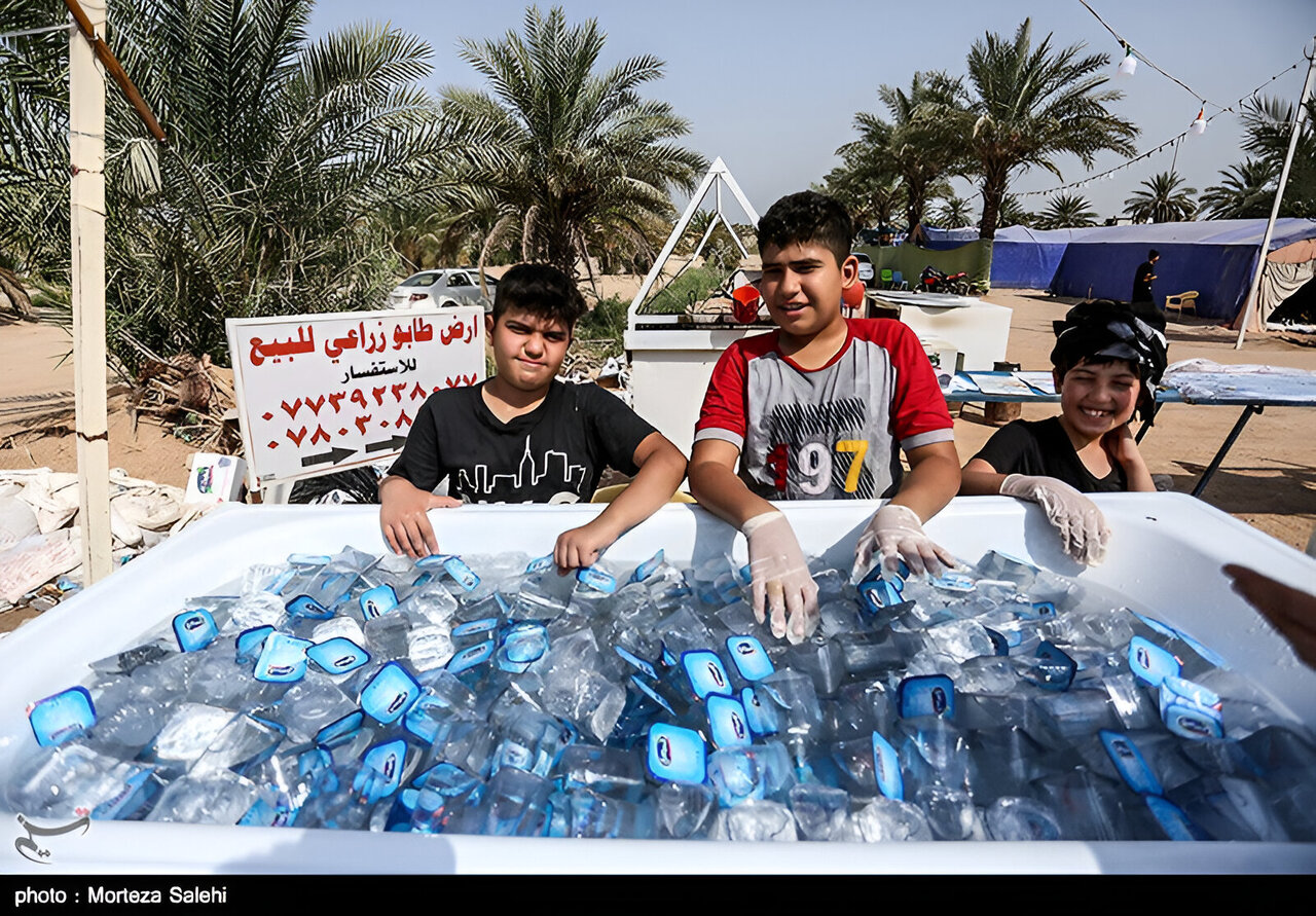 هلابیکم یا زوار الحسین (ع)