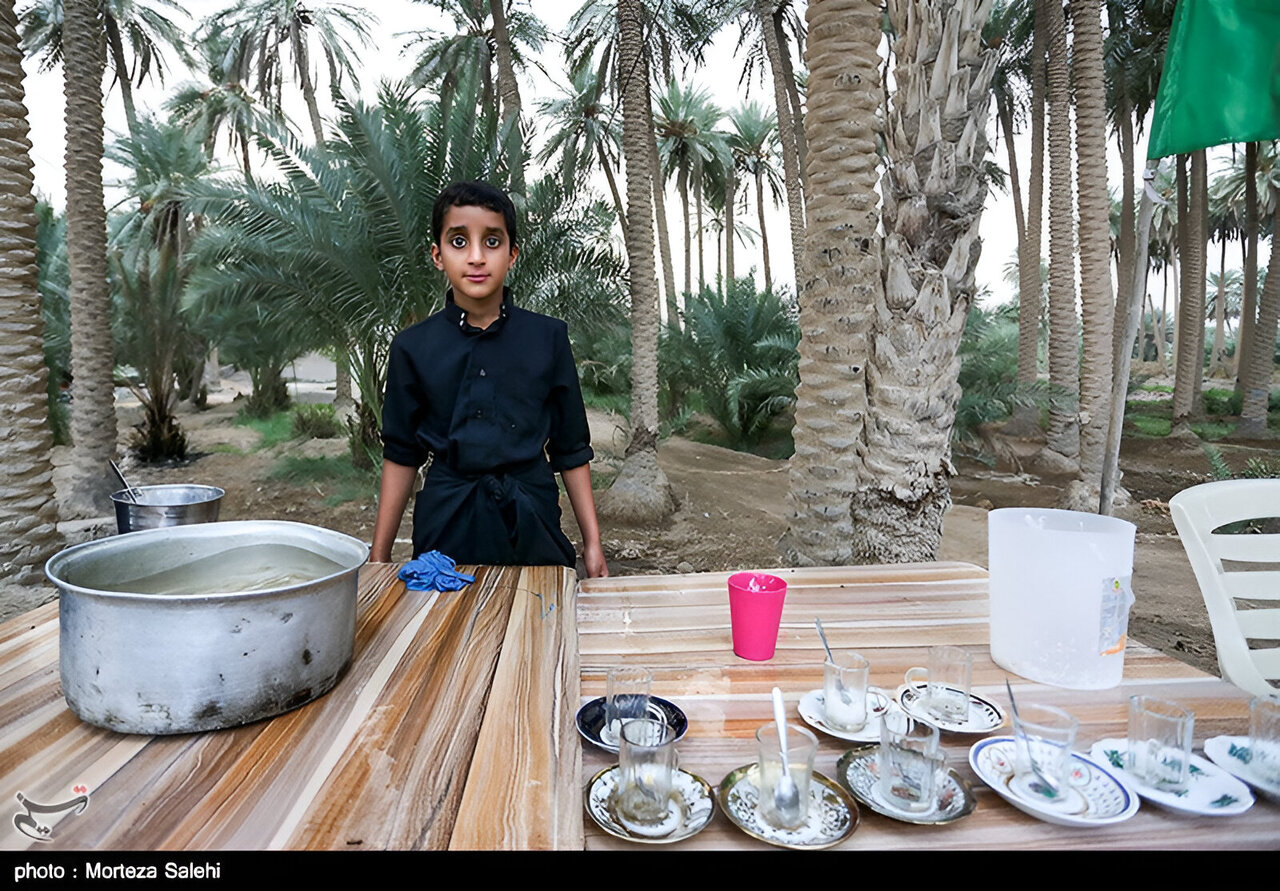 هلابیکم یا زوار الحسین (ع)