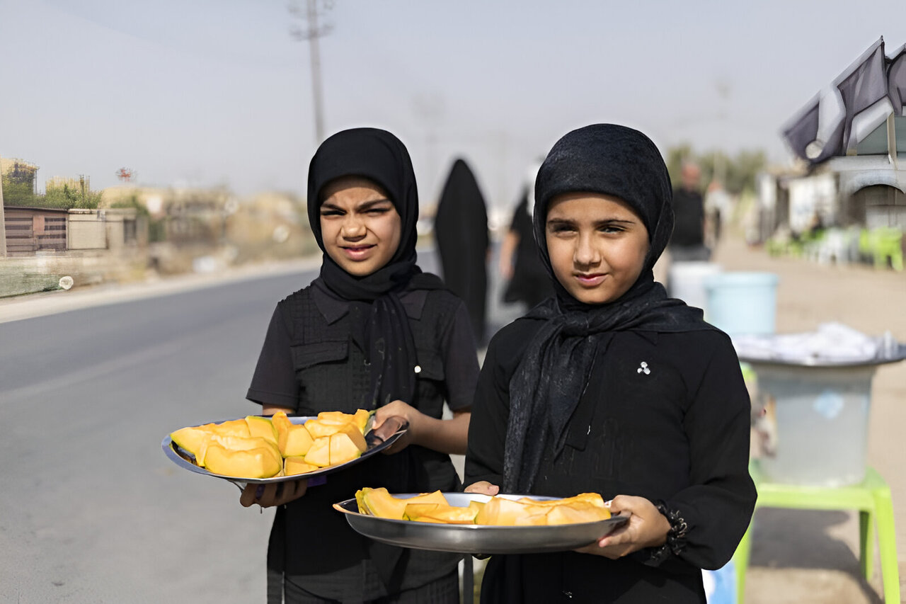 هلابیکم یا زوار الحسین (ع)