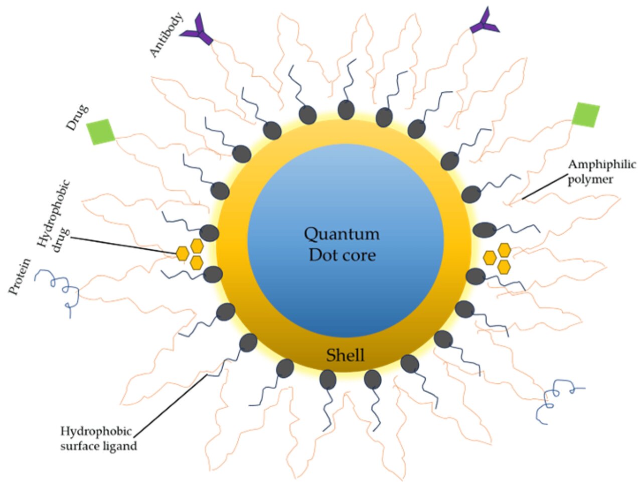 کاربردهای عملی محاسبات کوانتومی | از تشخیص سرطان تا استخراج مواد معدنی