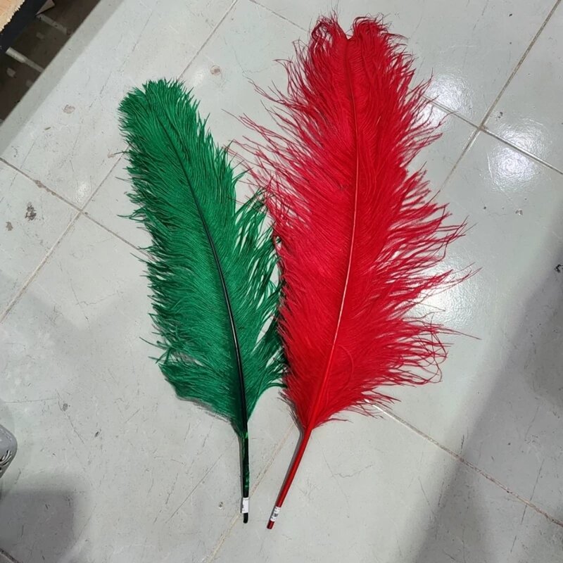 پرهای گران | درباره بازار داغ پر شترمرغ که تا مد پاریس هم رسیده است