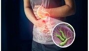 این باکتری دشمن معده است!+ ویدیو