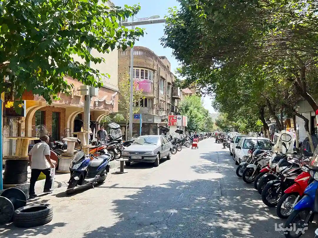 گردش در خانه های تاریخی لاله زار