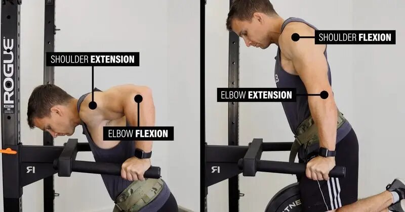 دو حرکت ورزشی برای تقویت بالا تنه