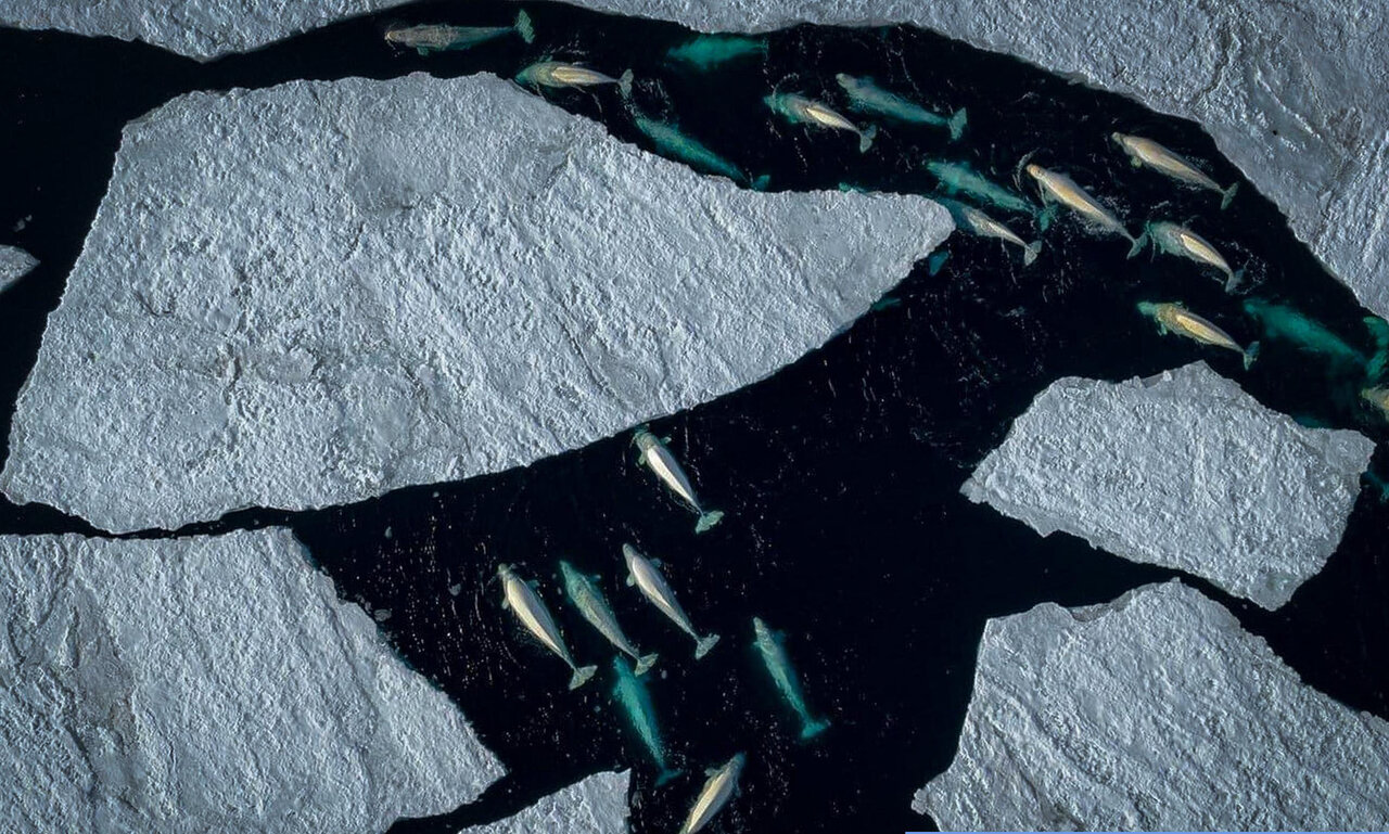 منتخبان مسابقه عکاسی هوایی ۲۰۲۵ | عکس