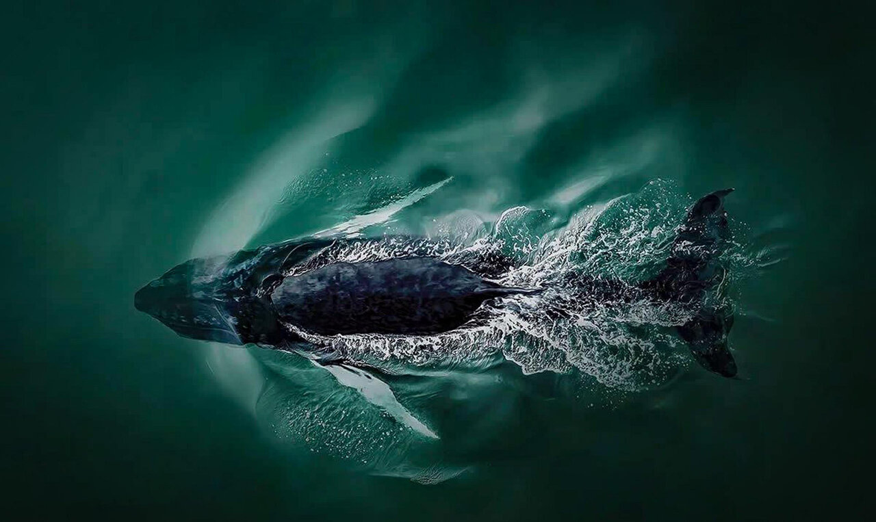 منتخبان مسابقه عکاسی هوایی ۲۰۲۵ | عکس