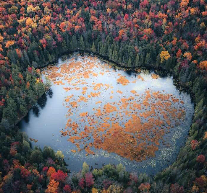 منتخبان مسابقه عکاسی هوایی ۲۰۲۵ | عکس