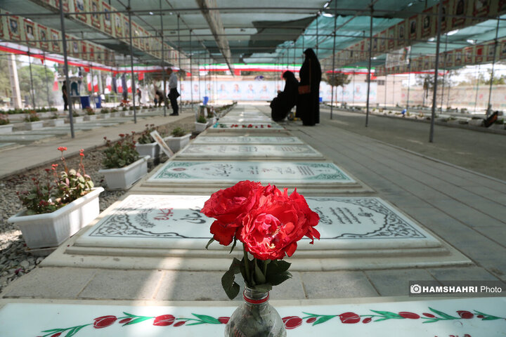 قطع 42 بهشت زهرا