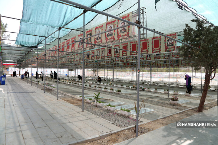 قطع 42 بهشت زهرا