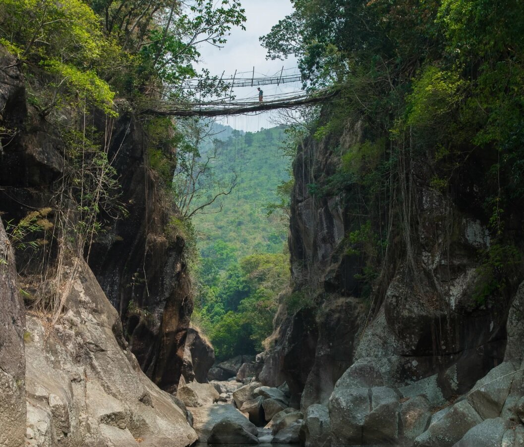 زیباترین و عجیب ترین پلهای زنده جهان + عکس