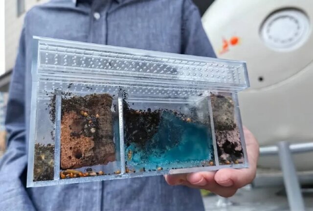 روسیه ۷۵ موش و ۱۰۰۰ مگس را به فضا میفرستد