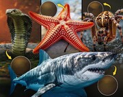 موجوداتی قدیمی که پیش از دایناسورها می‌زیسته‌اند | حاضران در این لیست را باور نمی‌کنید!