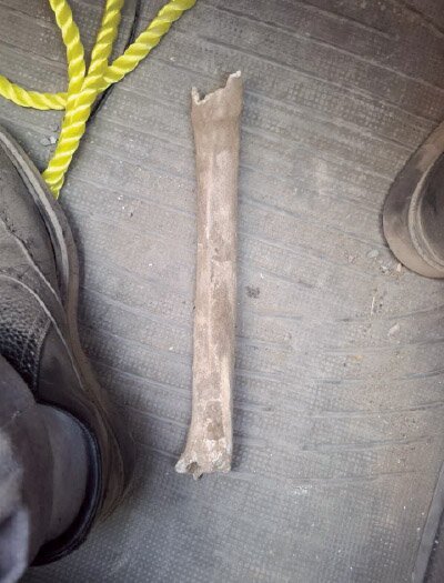 جزئیات قتل زنی که با عشقش از خانه فرار کرد | تصویر استخوانهای زن گمشده پس از ۱۲ سال