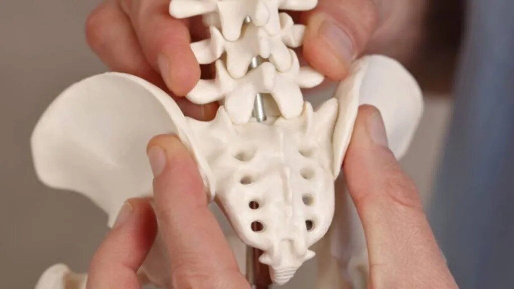 عضوهای اضافی بدن انسان که در آینده ناپدید میشوند!