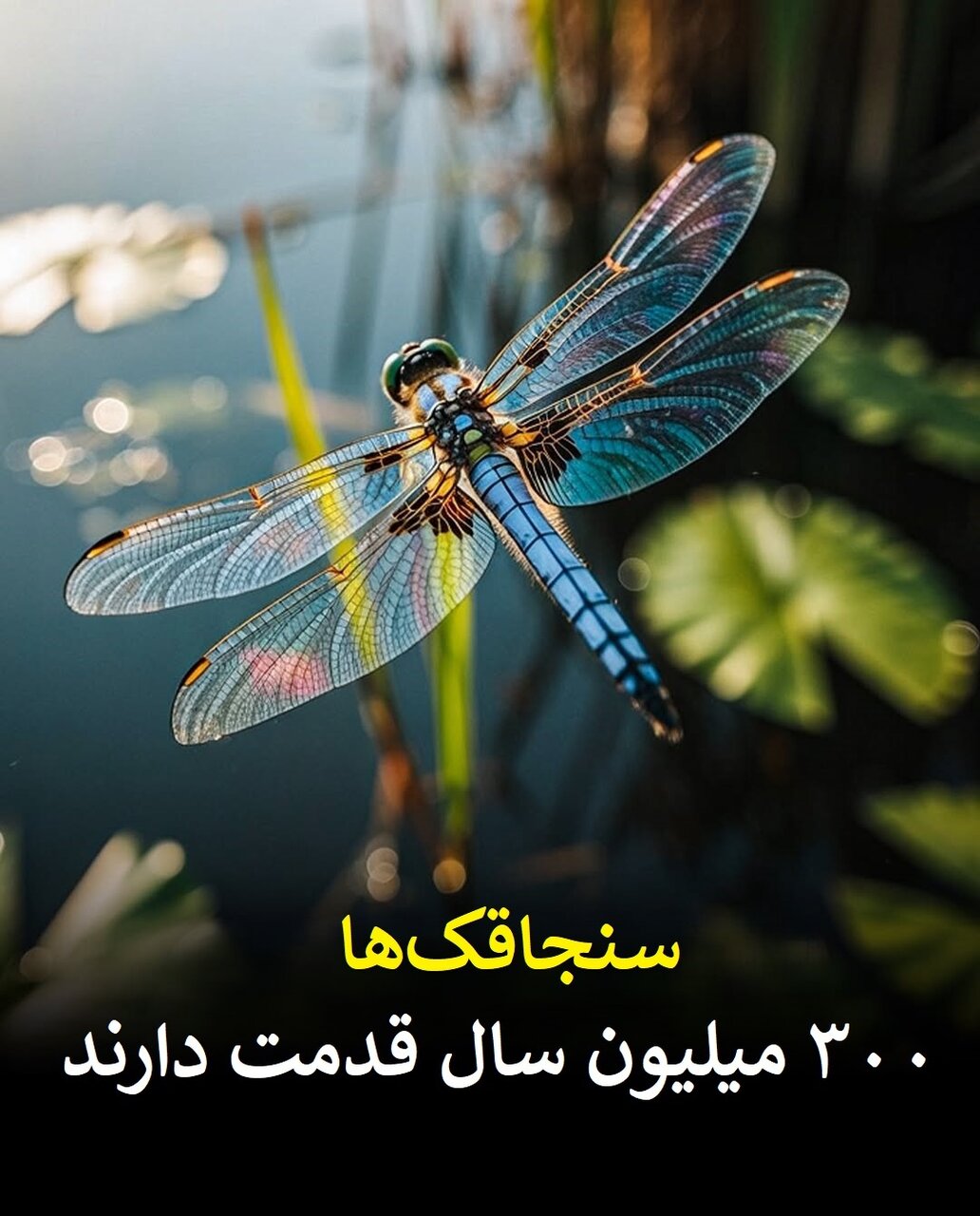 موجوداتی قدیمی که پیش از دایناسورها میزیستهاند | حاضران در این لیست را باور نمیکنید!