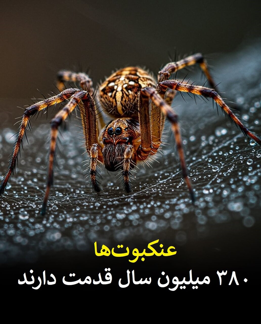 موجوداتی قدیمی که پیش از دایناسورها می‌زیسته‌اند | حاضران در این لیست را باور نمی‌کنید!