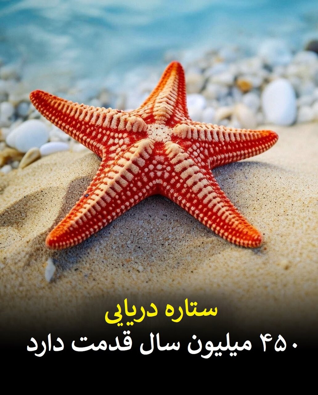 موجوداتی قدیمی که پیش از دایناسورها می‌زیسته‌اند | حاضران در این لیست را باور نمی‌کنید!