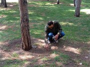 دردسر روزی ۱۰۰میلیون ته سیگار در ایران