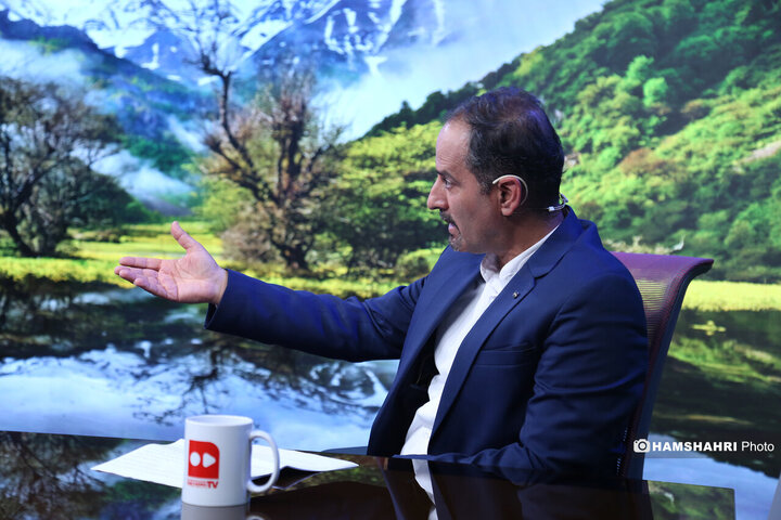 راه وچاه جنگل داری