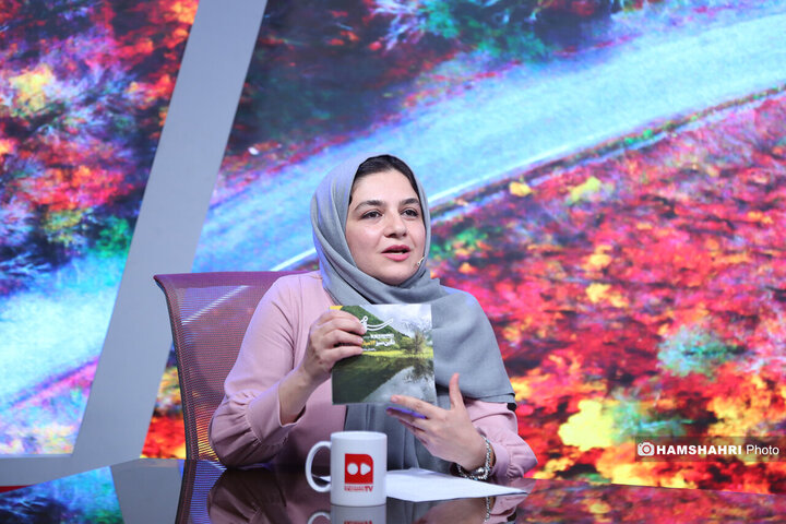 راه وچاه جنگل داری