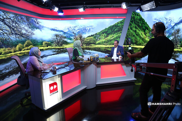 راه وچاه جنگل داری