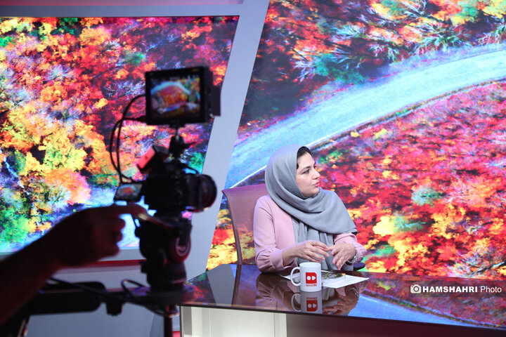 راه وچاه جنگل داری