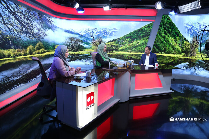 راه وچاه جنگل داری